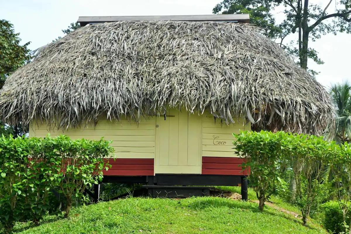 Nathylodge โบกัสทาวน์ ภายนอก รูปภาพ
