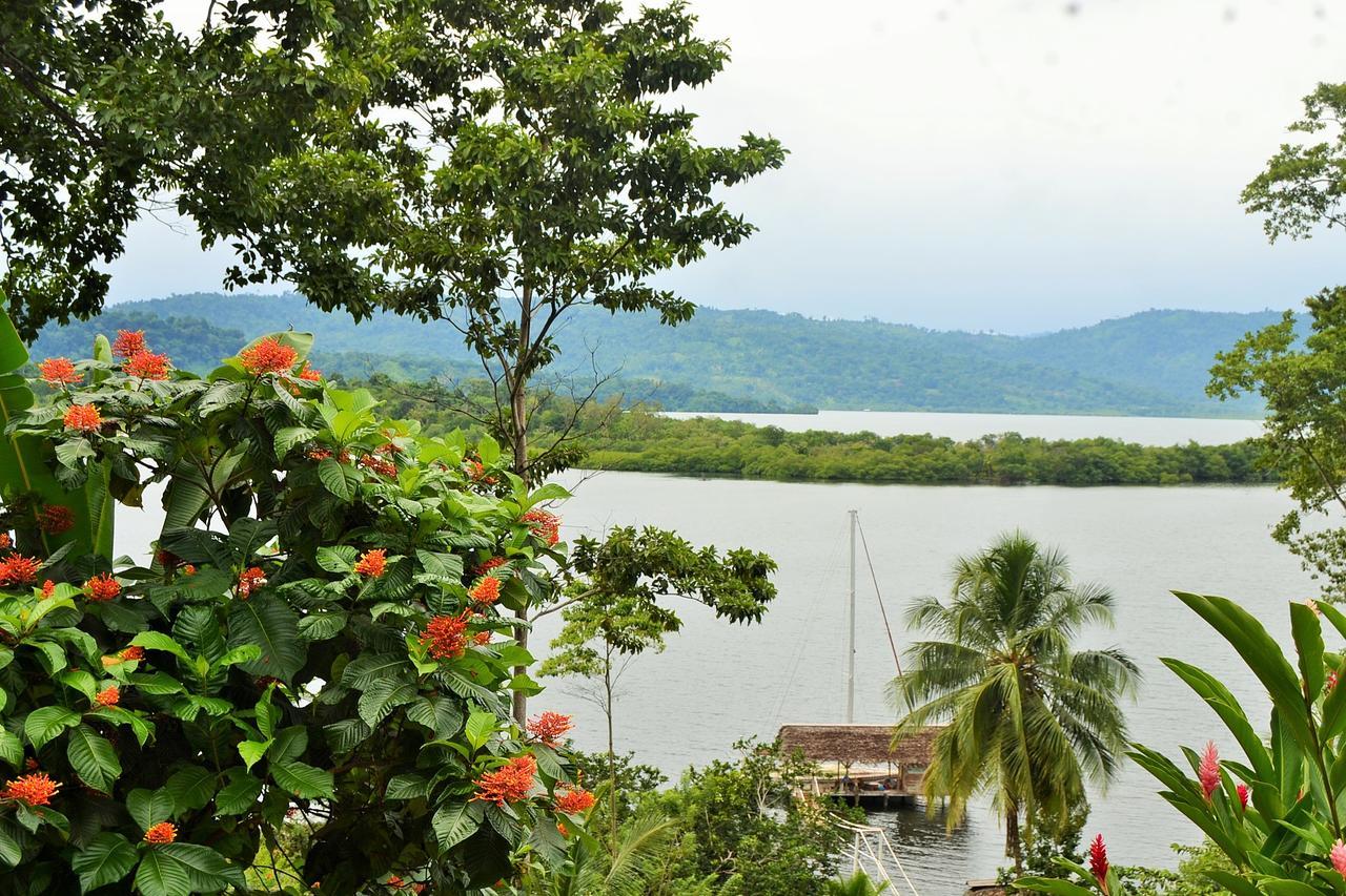 Nathylodge โบกัสทาวน์ ภายนอก รูปภาพ