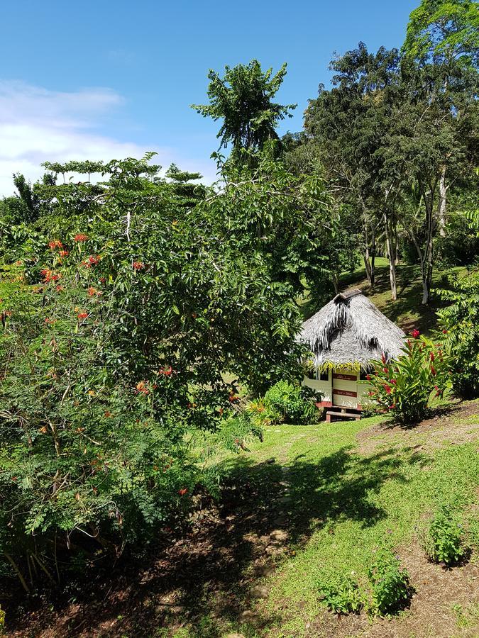 Nathylodge โบกัสทาวน์ ภายนอก รูปภาพ
